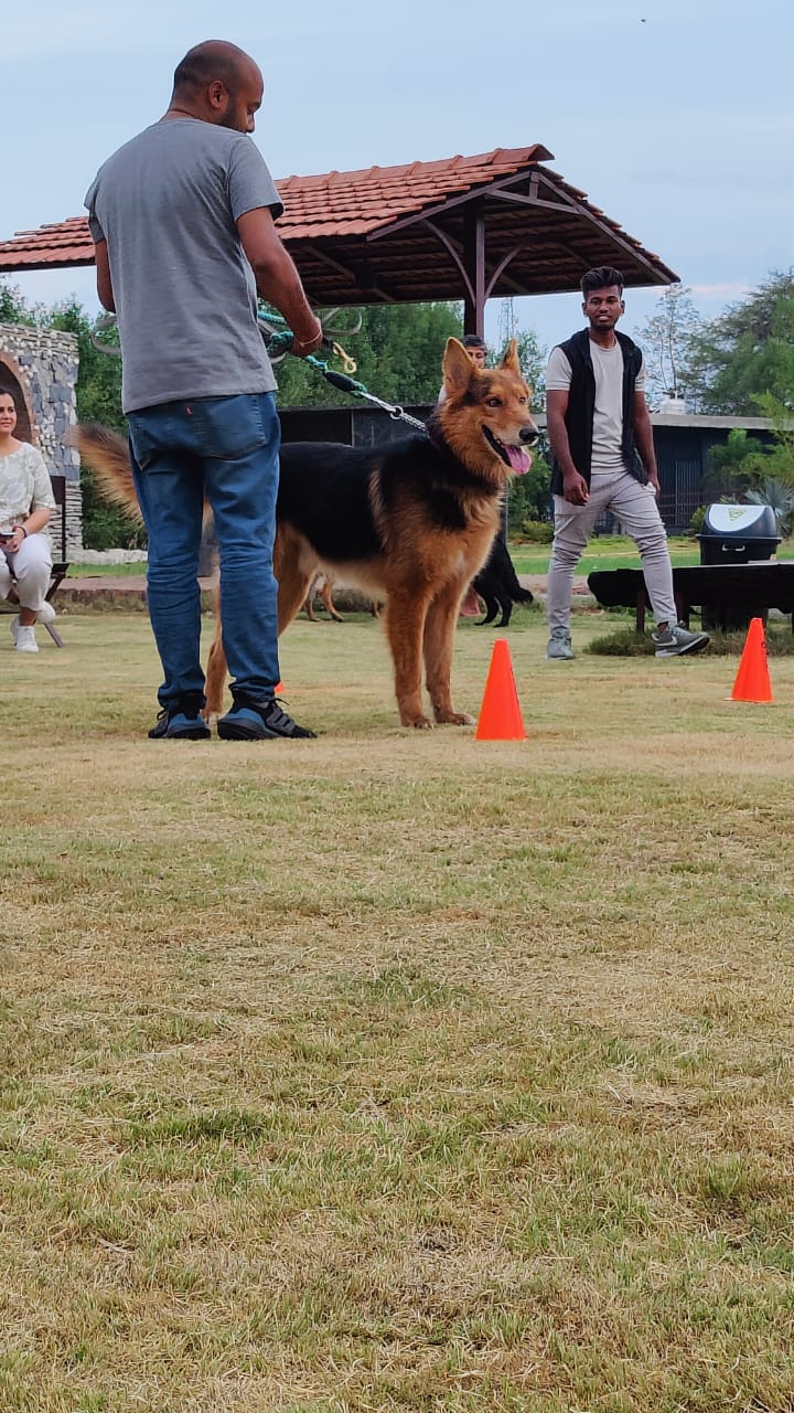 Furventures - Pet Adventures & Events - Photo 48